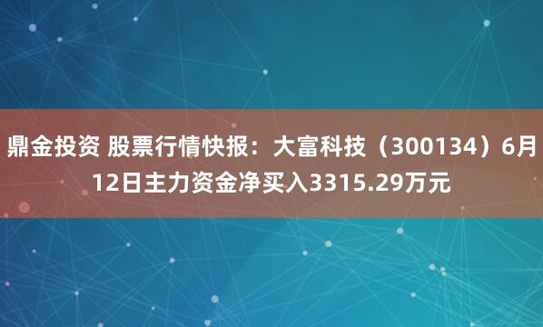 鼎金投资 股票行情快报:大富科技(300134)6月12日主力资金净买入3315.29万元